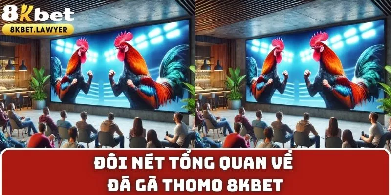 Đôi nét tổng quan về đá gà thomo 8KBET